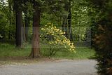 tannenfeld-sommer 2012-054